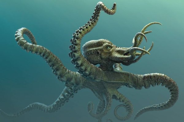 Kraken как зайти